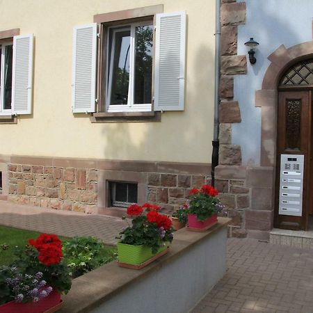 Appartement T3 très calme - Le Bartholdi - Centre de Colmar Esterno foto