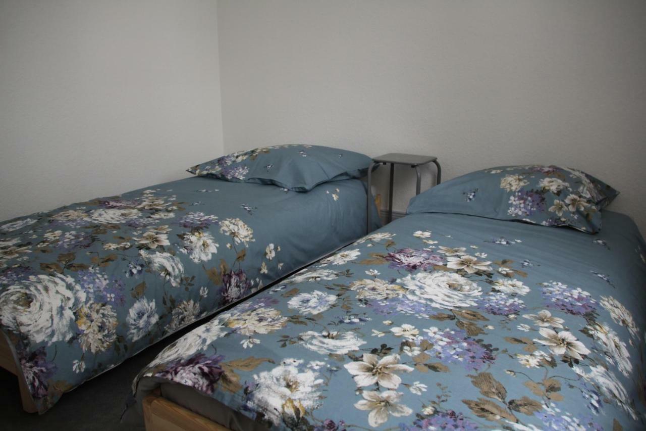 Appartement T3 très calme - Le Bartholdi - Centre de Colmar Esterno foto